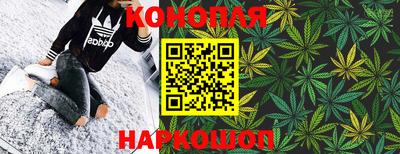 стаф Новозыбков