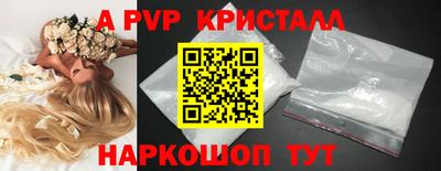 стаф Новозыбков