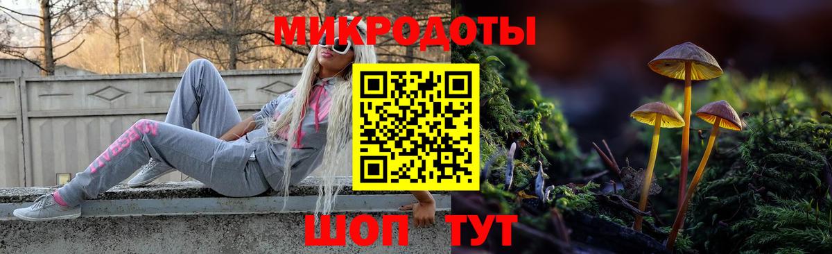 Прохладный  Псилоцибиновые грибы Cubensis  Галлюциногенные грибы Psilocybine cubensis  Вход с VPN 